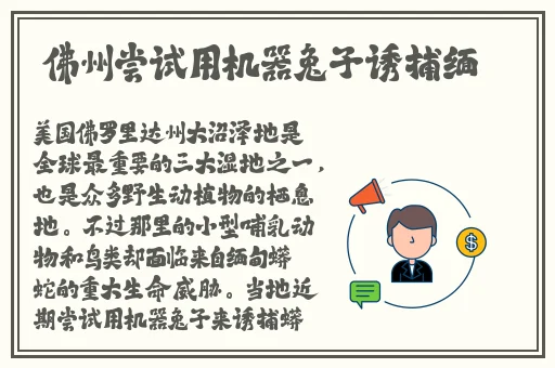 麻花天美有限公司